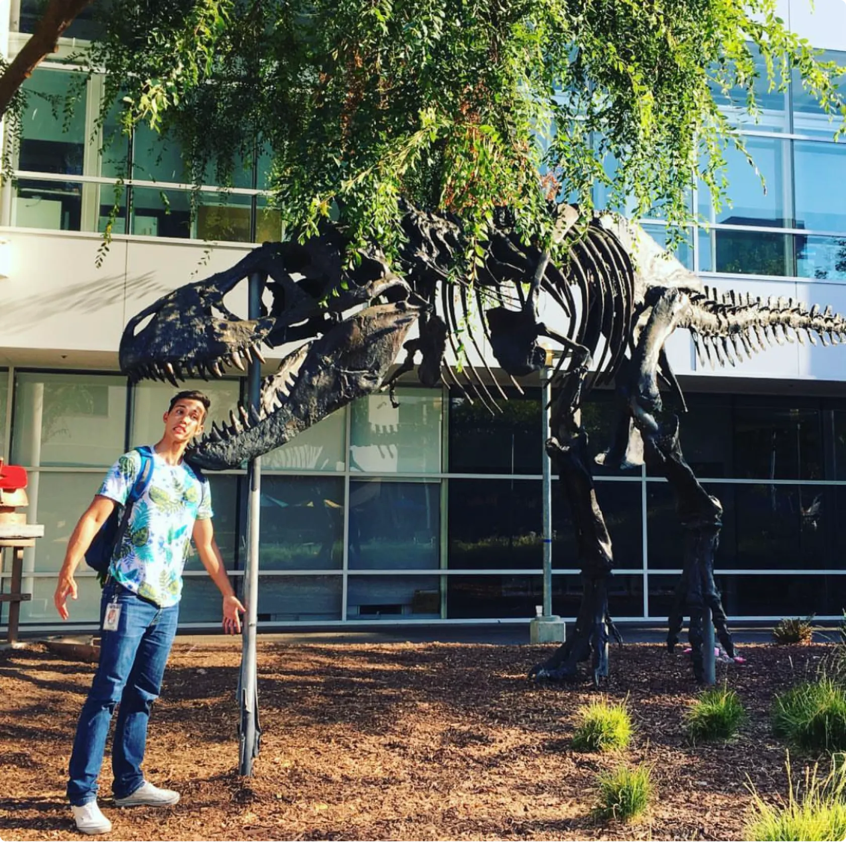 Picture of me getting eaten by a T-Rex on the Google Campus