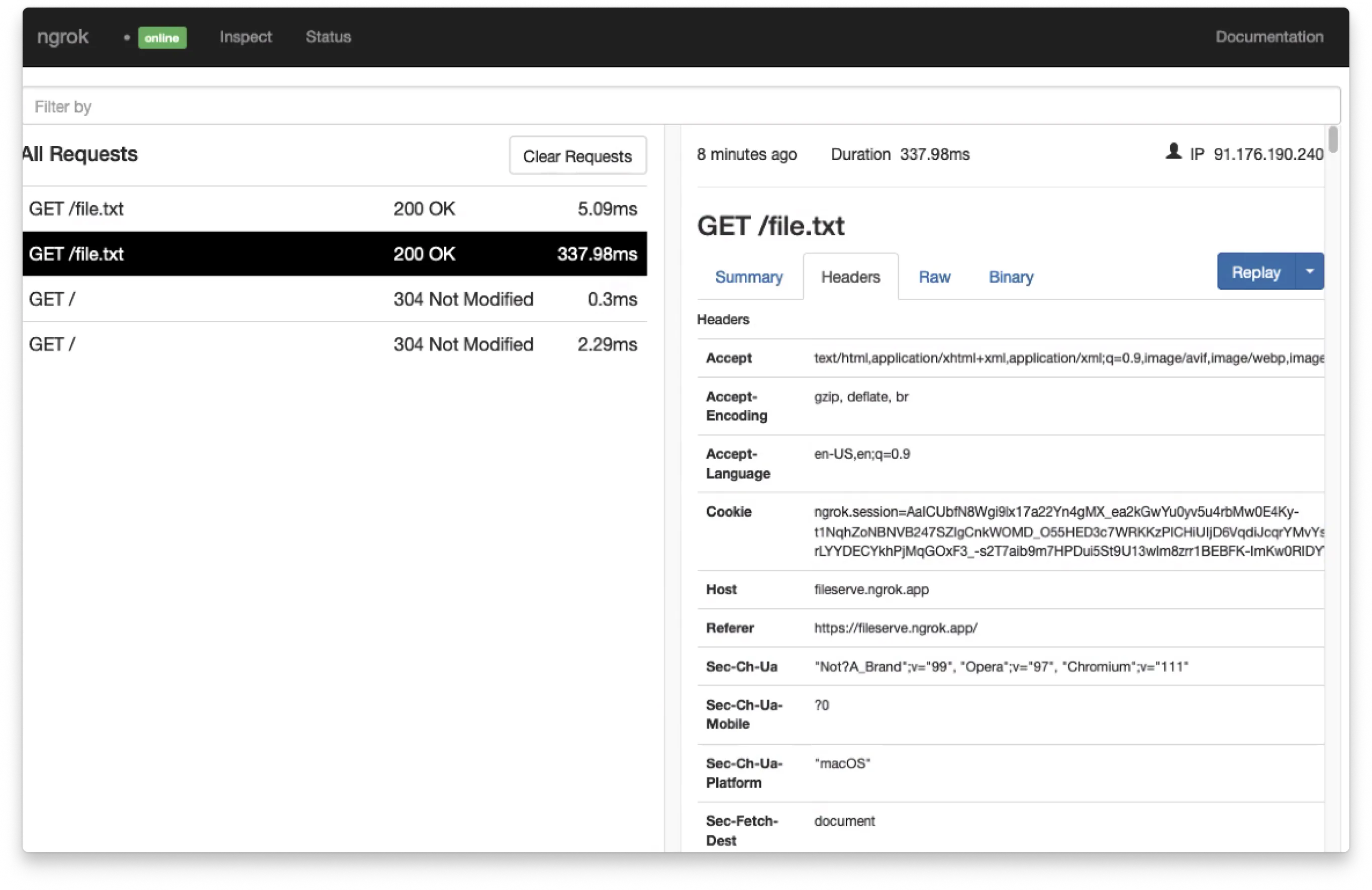 ngrok application screenshot